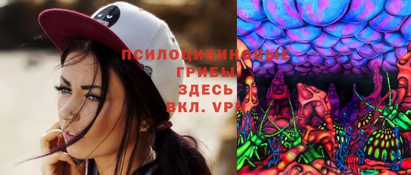 экстази Арсеньев