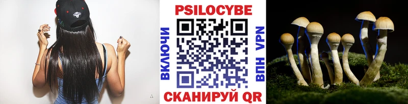 Псилоцибиновые грибы прущие грибы blacksprut tor Белая Холуница